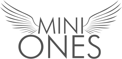 Mini Ones